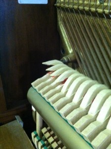 Wool piano hammers becoming detached.